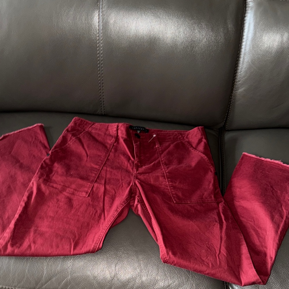 Sanctuary Cargo Pants in Deep Red